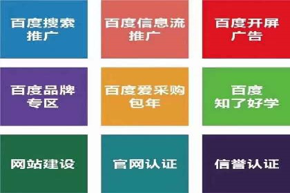 SEM代运营案例：品牌影响力提升